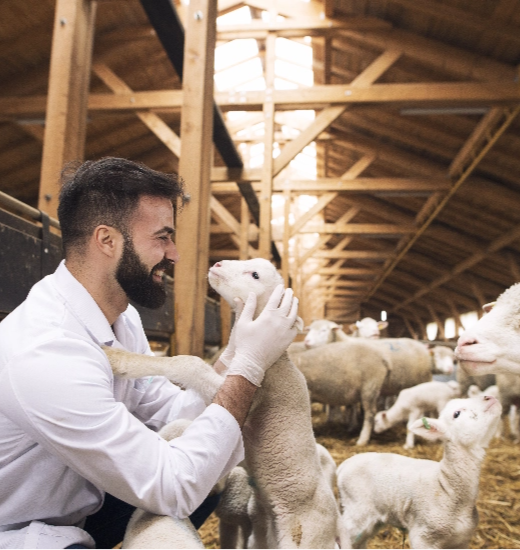 Los veterinarios de Castilla-La Mancha y la Guardia Civil incrementan su colaboración en atención, formación...